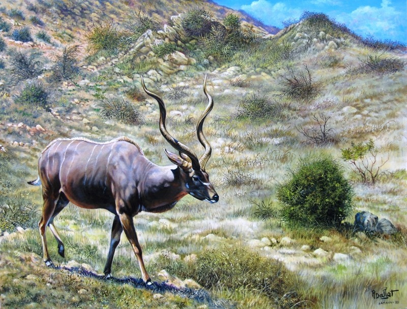 GREATER KUDU - Robert Dallet